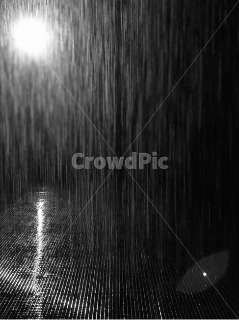 흑백,비,빛,불빛,플레어,비,비오는날,rain,rainy,흑백,모노톤,monochrome,black and white