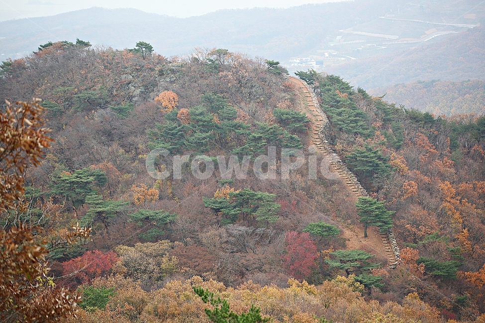 전등사,산성,성,성곽,길,둘레길,숲,숲길,담,돌담,가을,자연,풍경,식물,벽,방어벽,낙엽,단풍,가을,계절,fall,autumn,season,자연,풍경,nature,landscape
