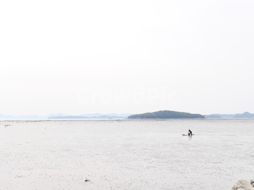 뻘배,갯벌,뻘,간조,어촌,어획,바다,물빠진바다,어업,fishery,fishing industry