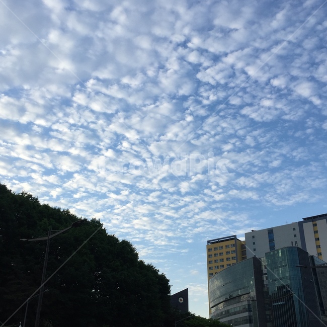 감성,구름,맑음,파랑,하늘,푸름,뭉게구름