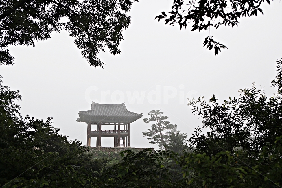 공주산성,성,성곽,길,둘레길,숲,숲길,안개,돌담,담,여름,자연,풍경,흙담,식물,유네스코등제