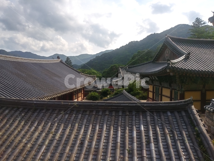 나무,하늘,풍경,구름,사원,파랑,환경,야외,집,한국,자연,초록,한국집,건축,공원,구름낀하늘,파란하늘,한국기와,봄,여름,가을,겨울,전통,house,tree,sky,landscape,scenery,temple,culture,blue,environment,outdoor,home,korea,asia,nature,green,famous,koreanhouse,architecture,park,cloudysky,bluesky,koreanflag,tradition,기와지붕,tileroof,지붕,roof