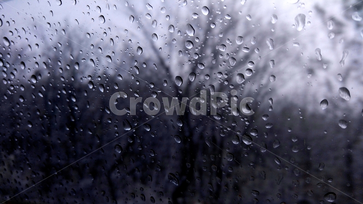 비,감성,배경,빗방울,비오는날,차가운,겨울,겨울비,비,비오는날,rain,rainy