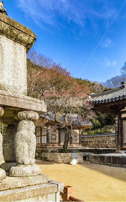 화엄사,사찰,원통전,사자탑,문화유산,문화재,전통건축물,감성,기와지붕,하늘,석탑