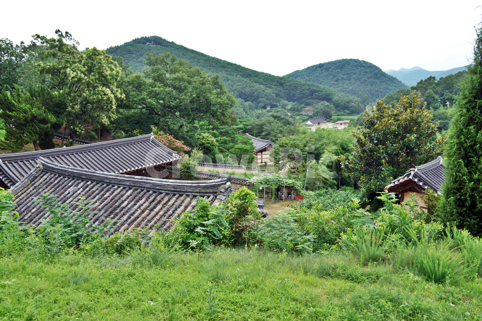 양동마을,경주,양반,집성촌,민속마을,조선시대,한옥,기와집,초가,문화재,유네스코세계유산,전통문화,월성손씨,여강이씨,자연,전통가옥,시골,마을,풍경,landscape,country,rural,town,한국전통,한국문화,korean traditional,korean culture
