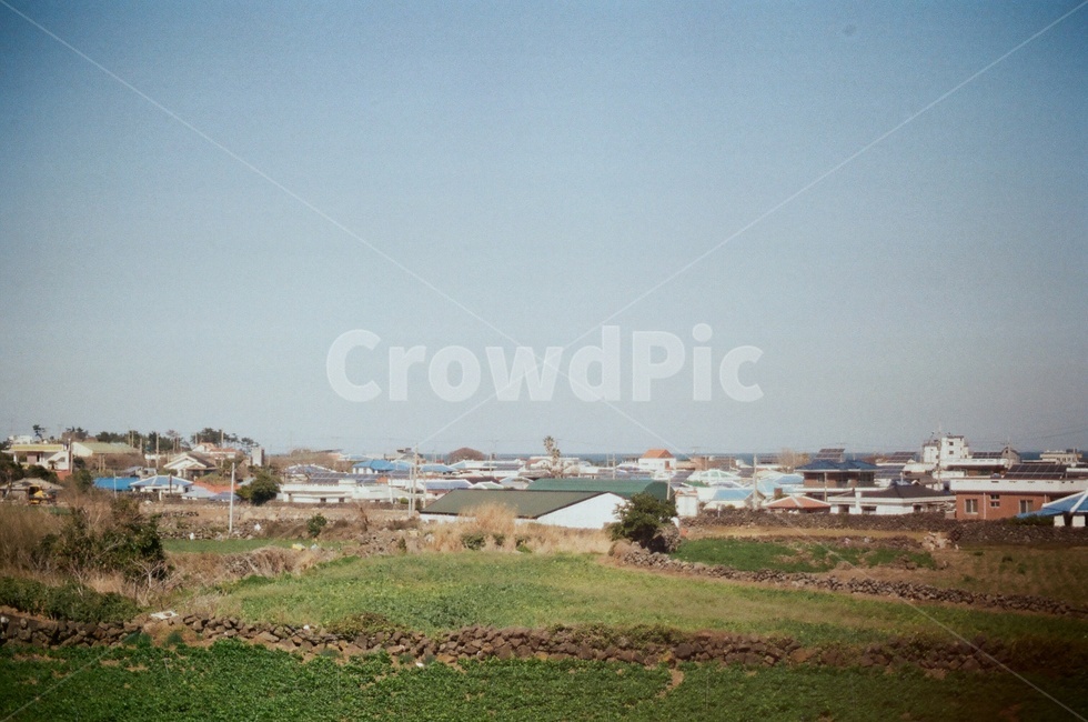 nature,자연,풍경,제주풍경,필름카메라