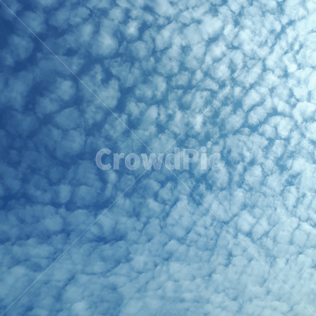 하늘,sky,구름,뭉게구름,여름,몽실몽실,파란,cloud