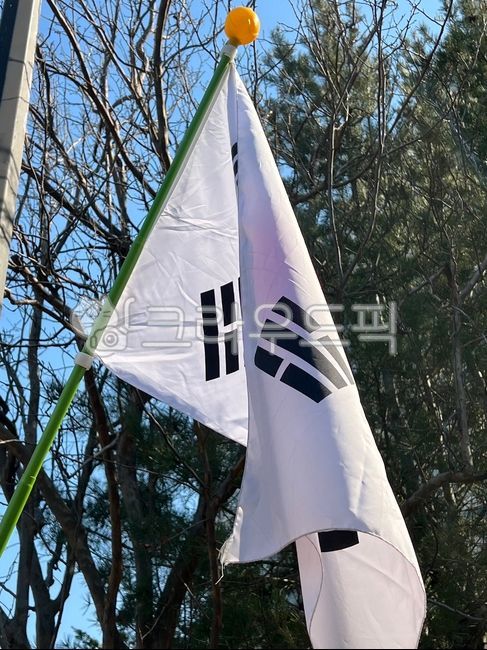 flag,깃발,태극기,삼일절,31운동,31절,국기,대한민국