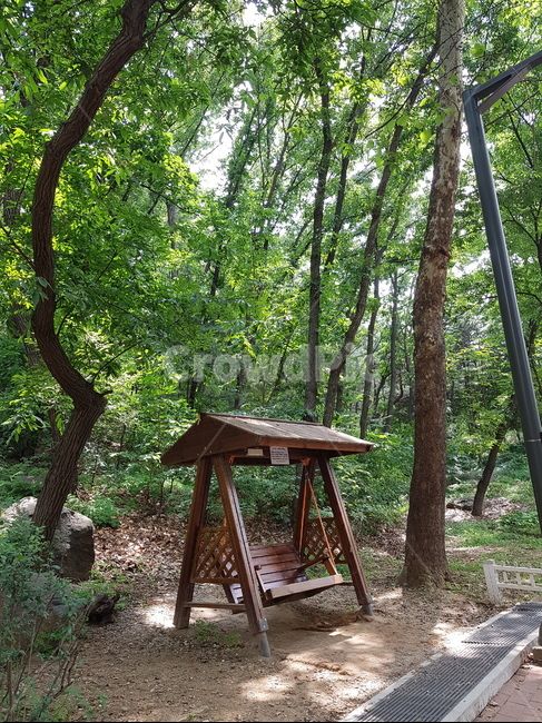 우장산,그네,숲속,나들이,산책,야외,휴식,자연,풍경,nature,landscape