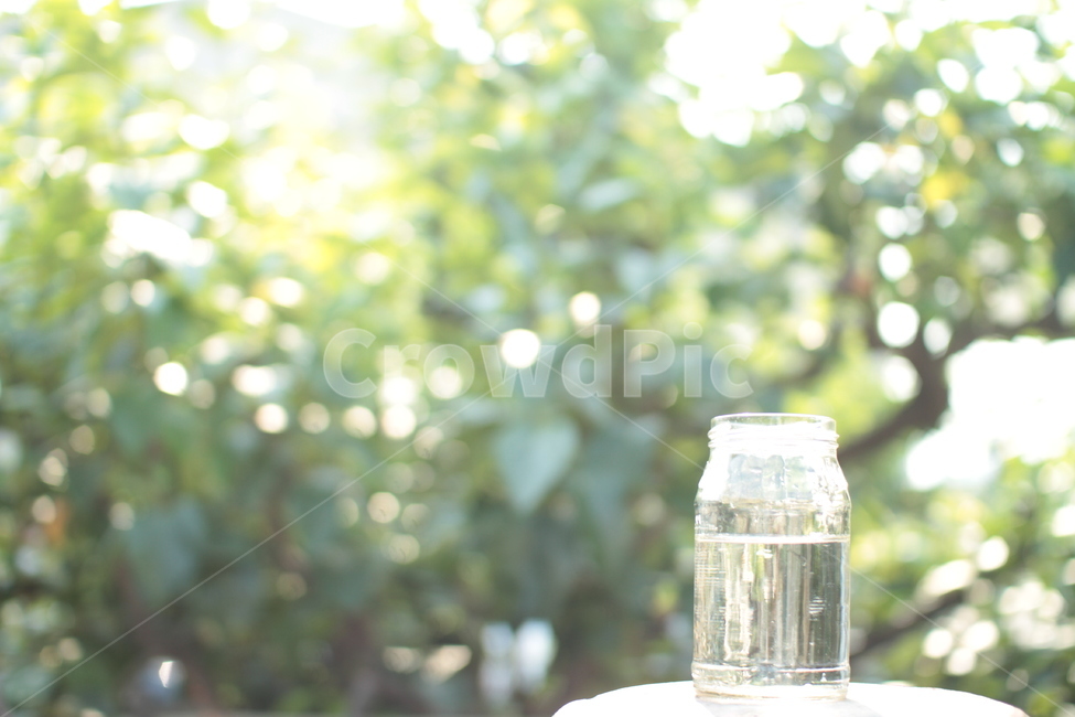 물,자연,나무,숲,물병,햇살,청량함,6월,초여름,여름,계절,summer,season,음료수,drink,beverage,jar,항아리