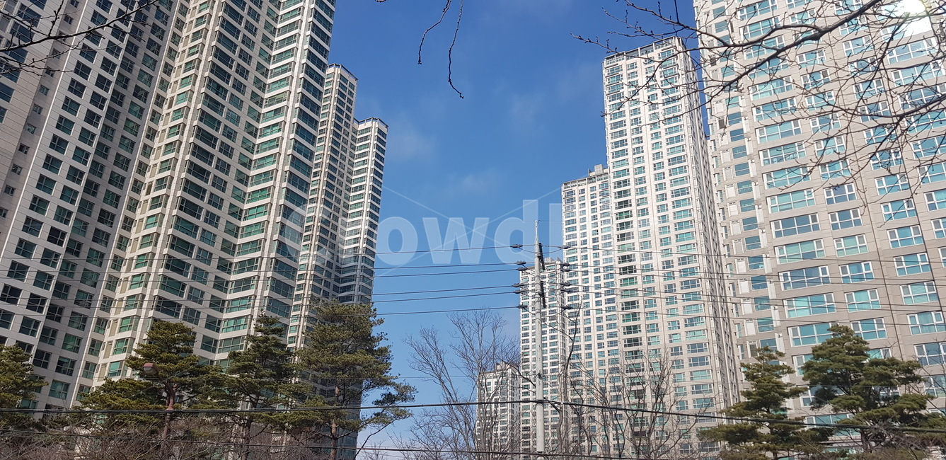 하늘,아파트,수직감,도시,오피스,건물,빌딩