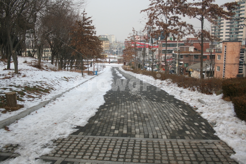 인도,눈,길,나무,겨울,겨울,계절,winter,season,도시,풍경,city,landscape,한국도시풍경,한국도시경관,korea cityscape,path,통로,walkway,보도,pavement,포장,sidewalk