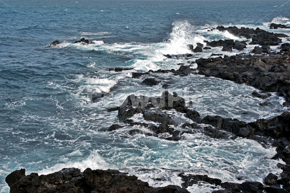 해변,탑동해변,제주도,기암괴석,퇴적암,파도,바다,자연,자연,풍경,nature,landscape,한국자연풍경,한국자연경관,korea nature landscape,제주도,jeju,jeju island