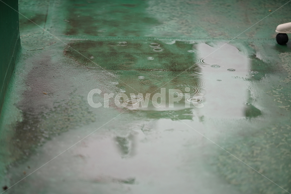 비,날씨,봄비,빗물,계절,물,봄,rain,비,비오는날,rain,rainy