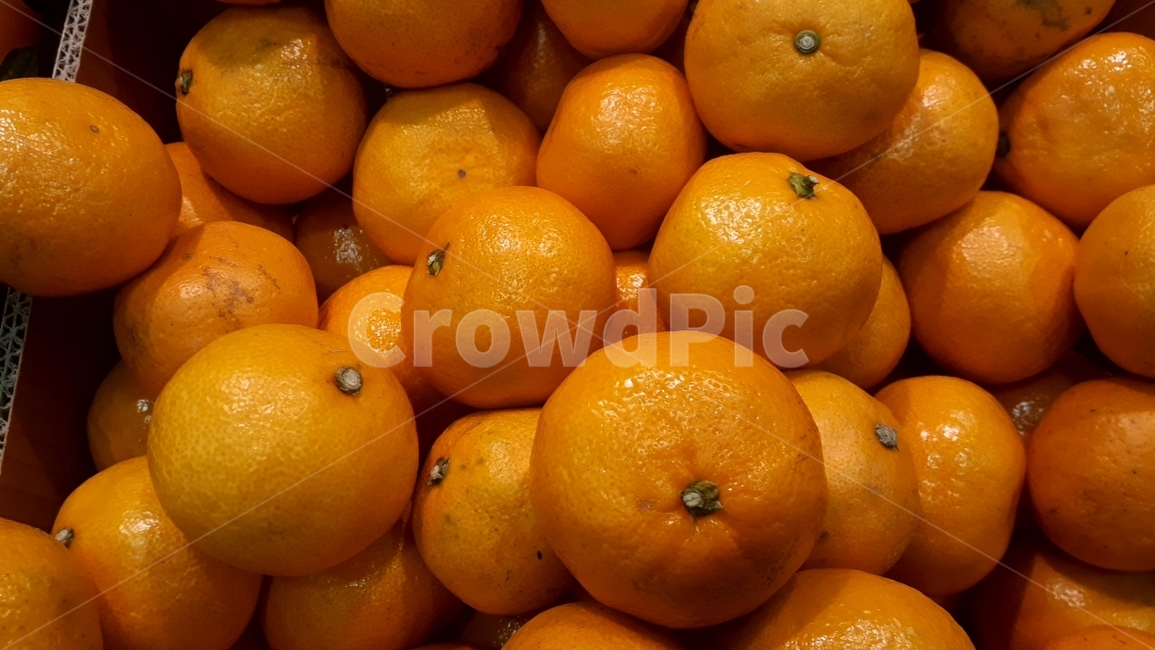 과일,fruit,열매,과채류,농산물