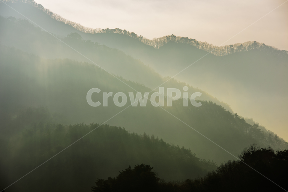 산그림자,빛내림,안개,운무,자연,배경,산마을,자연,풍경,nature,landscape,한국자연풍경,한국자연경관,korea nature landscape,weather,날씨,outdoors,옥외