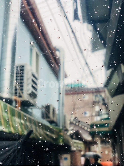 익선동,비,빗방울,우산,한옥,골목길,alley,비,비오는날,rain,rainy,building,건물,town,도시,city,시티,metropolis,중심지,urban,어반