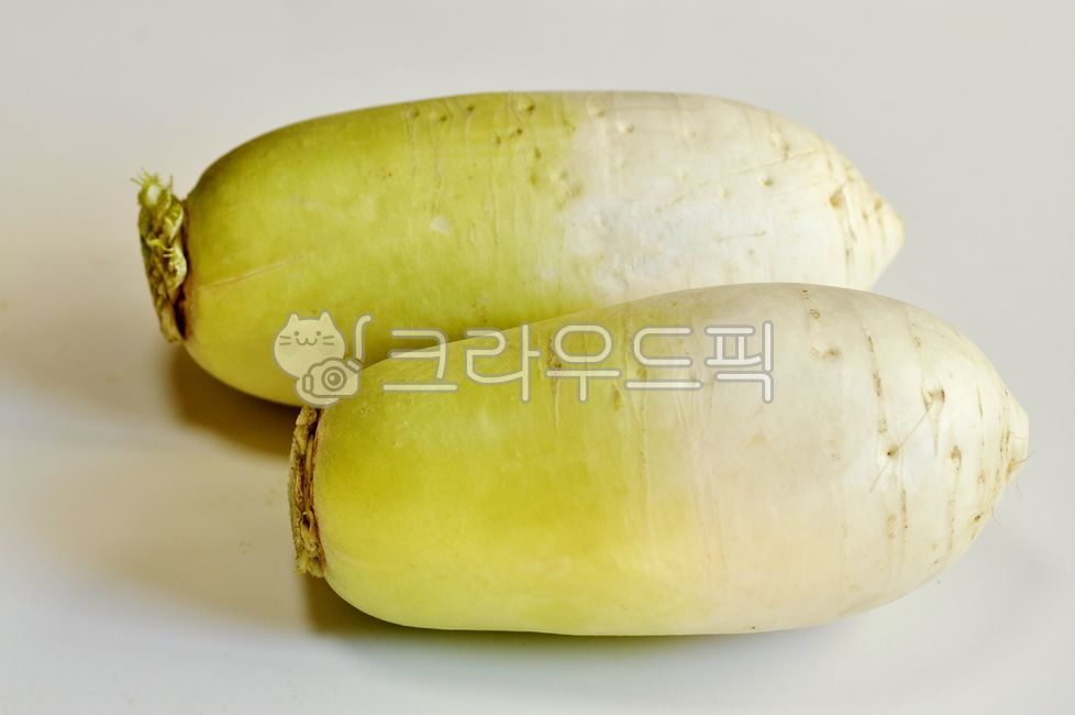 무우, 무, 채소, 야채, 식재료, 사진,이미지,일러스트,캘리그라피 - 깨비선생작가