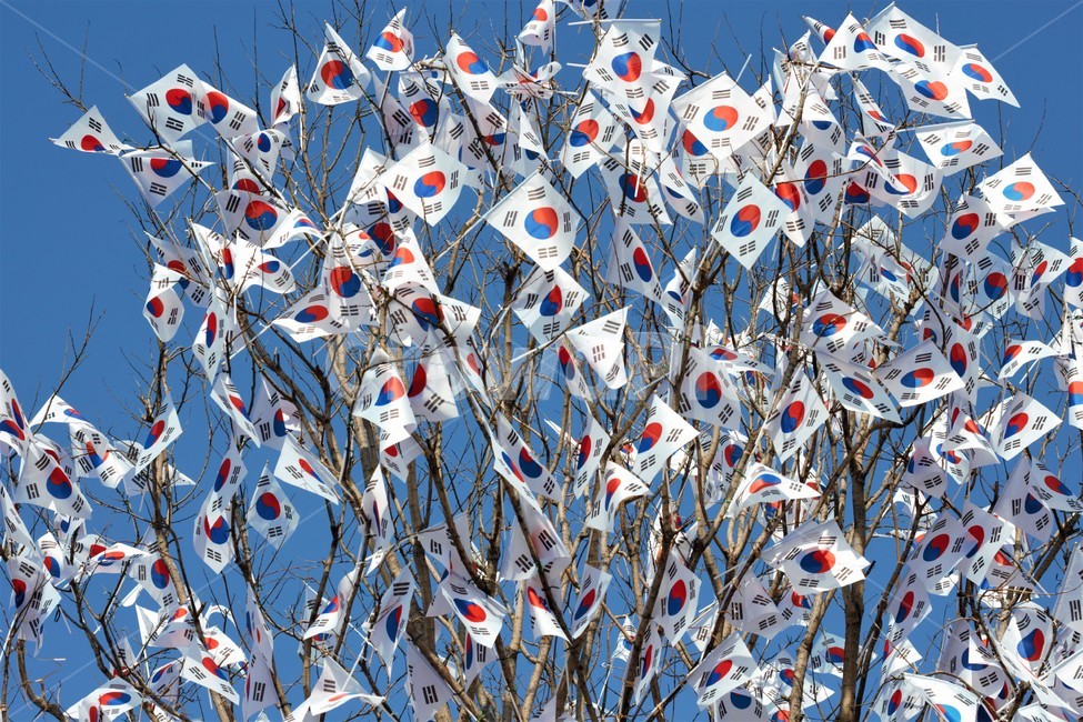 태극기,현충일,삼일절,광복절,국기,한국,flag,nationalflag,koreannationalflag,대한민국,31운동,깃발,독립,대한독립만세,independenceday,independence,independent,기념일,태극기나무,축하,기념,celebration,event,행사,게양,ceremony,심볼,상징,symbol,anniversary,공휴일,국경일,휘날리는,펄럭이는,삼일운동,애국,호국,보훈