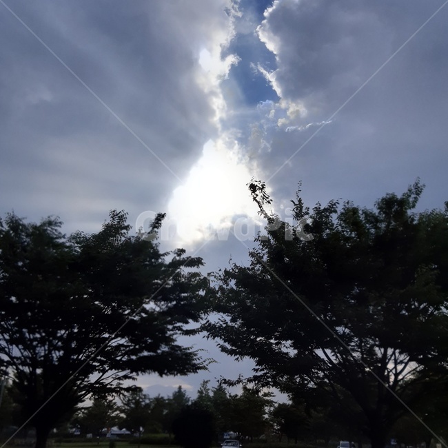 역광,하늘,빛,sky,backlight
