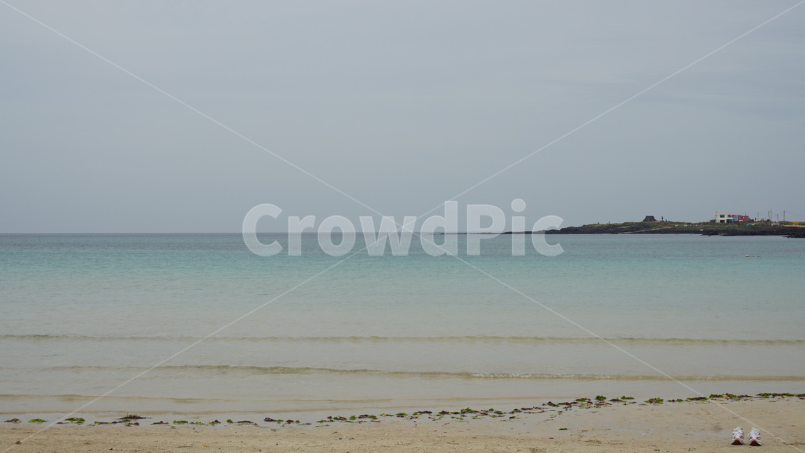 바닷가,바다,자연,풍경,제주도,해변,바다,beach,sea,제주도,jeju,jeju island,land,땅,outdoors,옥외,nature