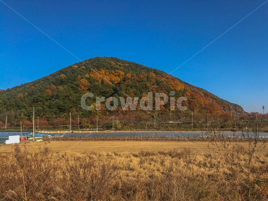 시골,단풍,가을,가을하늘,진주,시골마을,sky,maple,평야,풍경,가을,계절,fall,autumn,season,nature,자연,outdoors,옥외,hill,언덕