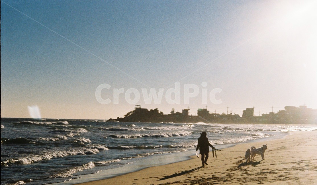 겨울,인물,바다,겨울바다,감성사진,힐링,뒷모습,감성,아날로그,분위기,mood,winter,sea,wintersea,atmosphere,travel,trip,여행,겨울여행,겨울바다여행,강원도,주문진,자연,풍경,nature,landscape,해변,바다,beach,sea,동물,animal,개,강아지,dog,doggy,사람,인물,인간,human,person,여행,휴가,traveling,vacation,trip,감성,sensible,feeling,휴식,힐링,rest,relaxation,healing,ocean,대양,water,물,outdoors,옥외,shoreline,해안선,coast,연안,바닷가