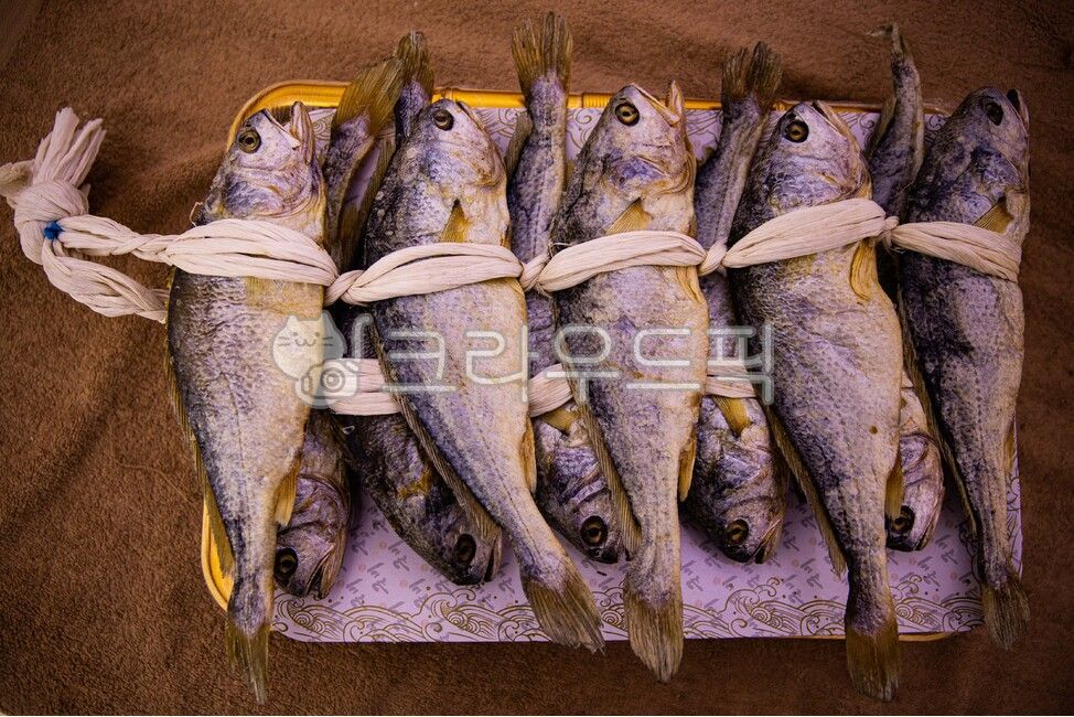 말린,조기,숙성,보리굴비,맛있는,어류,한국전통식품,yellowcorvinadried,ripened,barleygulbi,delicious,fish,koreantraditionalfood