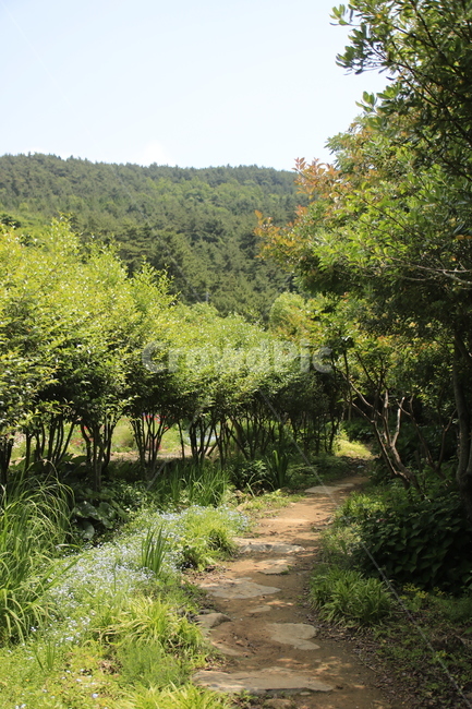 자연,풍경,경치,정원,공원,꽃,나무,하늘,풀,봄경치,여름경치,자연,풍경,nature,landscape,plant,식물,outdoors,옥외,tree