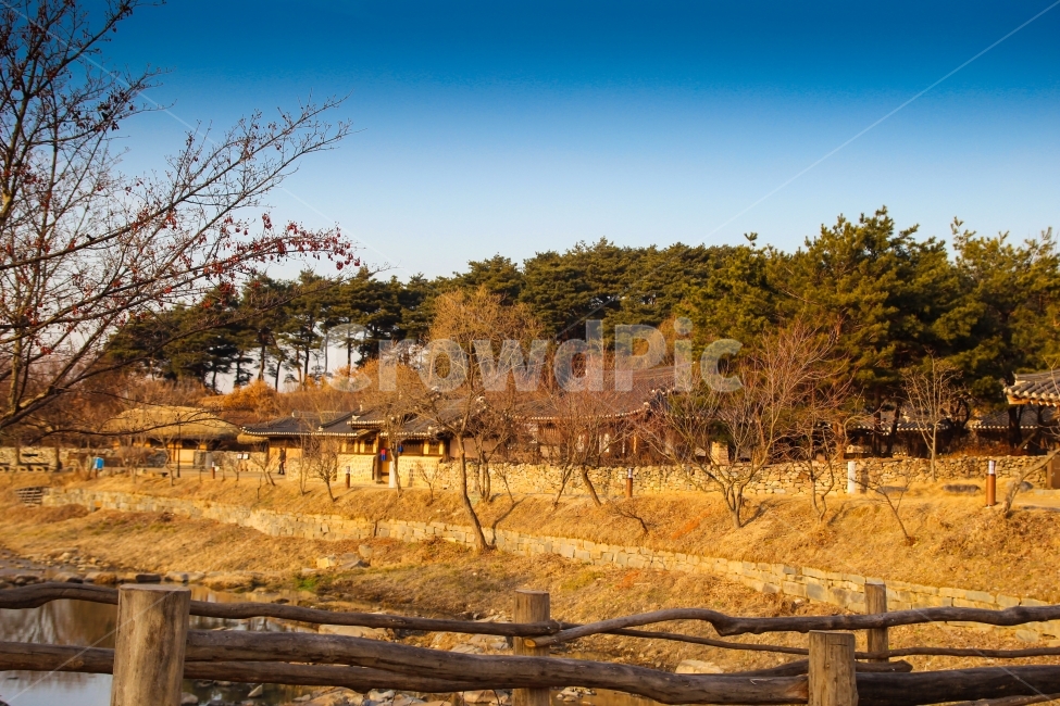 전통,한국전통,기와집,겨울,마을,나무,풍경,가을,전통적인,감성,감성사진,감성적인,koreatraditional,한국적인,한국전통가옥,겨울,계절,winter,season,한국전통,한국문화,korean traditional,korean culture