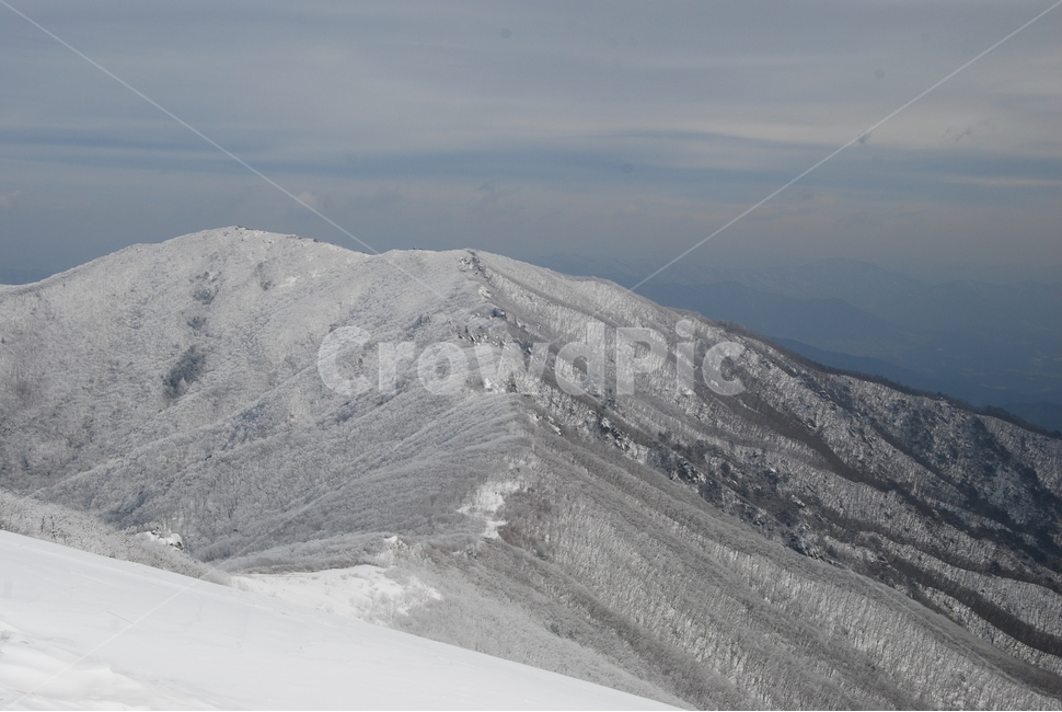 소백산,겨울,설경,snow,자연,겨울,계절,winter,season,자연,풍경,nature,landscape,한국자연풍경,한국자연경관,korea nature landscape,mountain,산,outdoors,옥외,mountain range,산맥,slope,경사