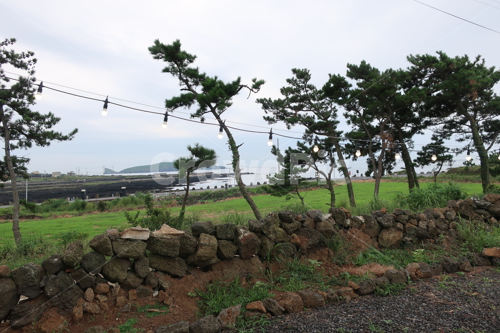 ground,road,하늘,바다,제주도,자연,감성사진