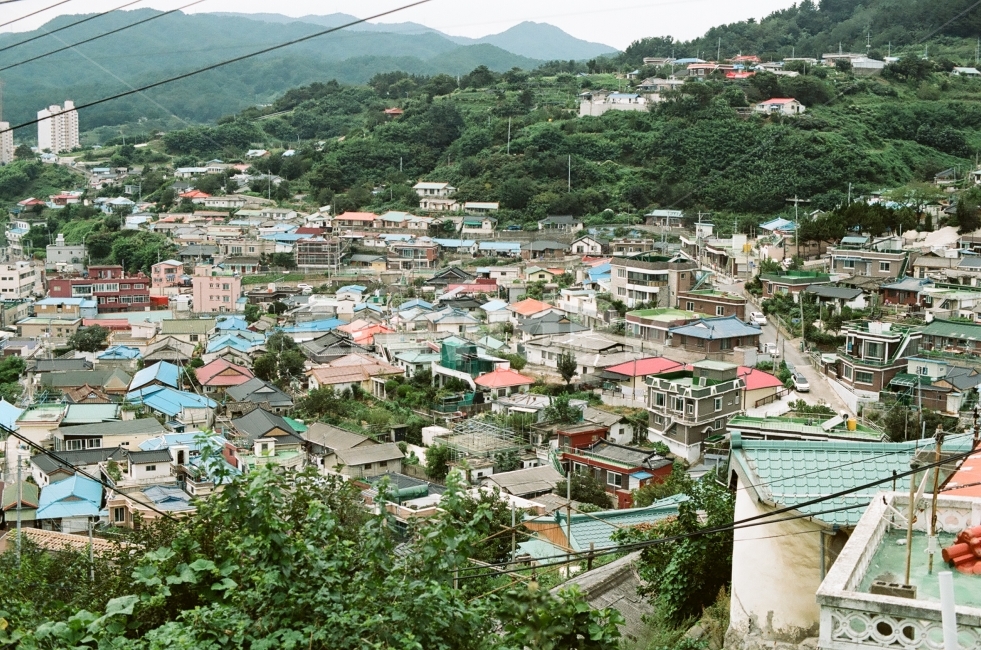 논골담길,마을,시골,지붕,해안마을,강원도,필름,film,portra160,도시,풍경,city,landscape,한국도시풍경,한국도시경관,korea cityscape,경치,outdoors,옥외,nature,자연,scenery,aerial view,조감도