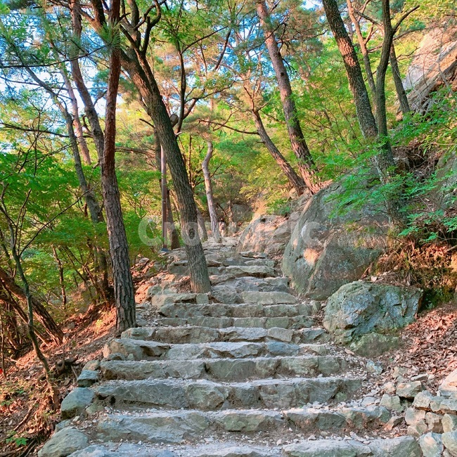 통로,계단,등산,등산로,산,자연,nature,mountain