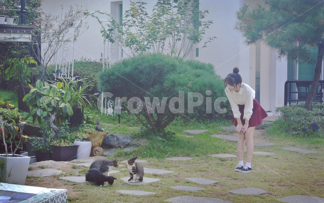 고양이,여자,평온,정원,여행