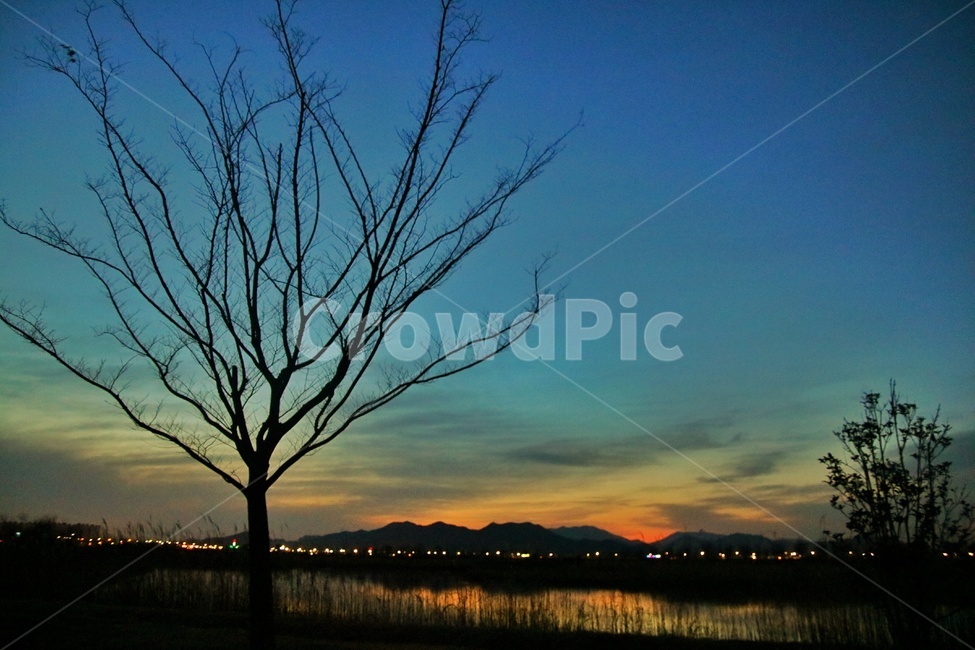 노을,해질녘,강,풍경,나무,자연,풍경,nature,landscape,실루엣,그림자,silhouette,shadow,tree,plant,식물,outdoors,옥외