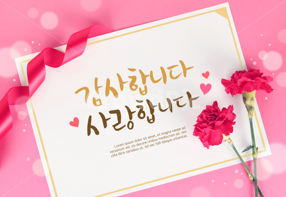리본,보케,엽서,캘리,캘리그라피,손글씨,붓글씨,카네이션,꽃,어버이날,기념일,이벤트,팝업,가족,패밀리,family,감정표현,기분,feeling,emotion,기념일,축하,anniversary,congratulation,celebrate,celebration,그래픽,일러스트레이션,graphic,illustration