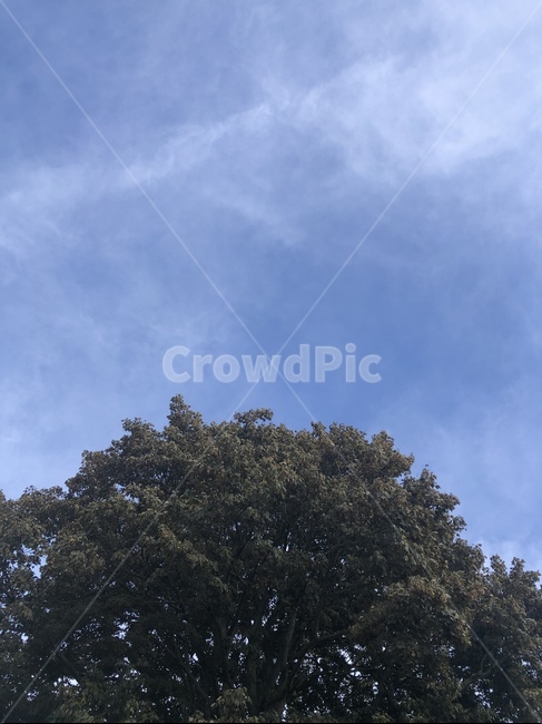 하늘,sky,풍경,자연,감성