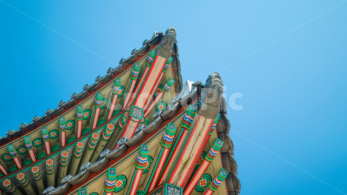 가을하늘,기와,단청,창덕궁,서울,조선,old,temple,패턴,오래된건물,한국전통,한국문화,korean traditional,korean culture