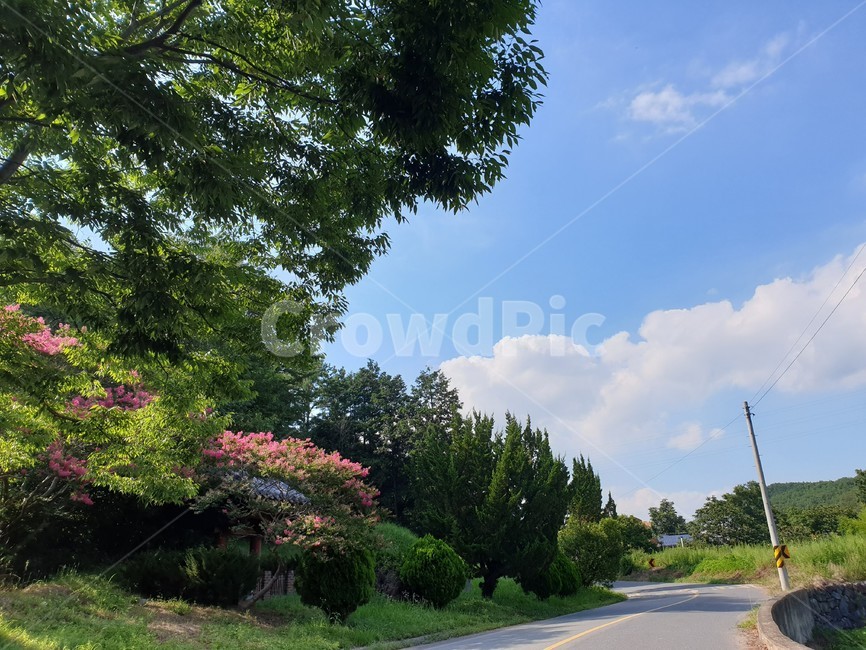 산,구름,파랑,bluesky,녹색초록,green,자연풍경,여름,나무,숲
