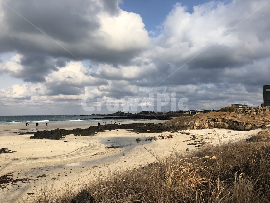 weather,날씨,nature,자연,outdoors,옥외,제주,세화,모래,sand,winter,beach,sea,jeju,자연,풍경,nature,landscape