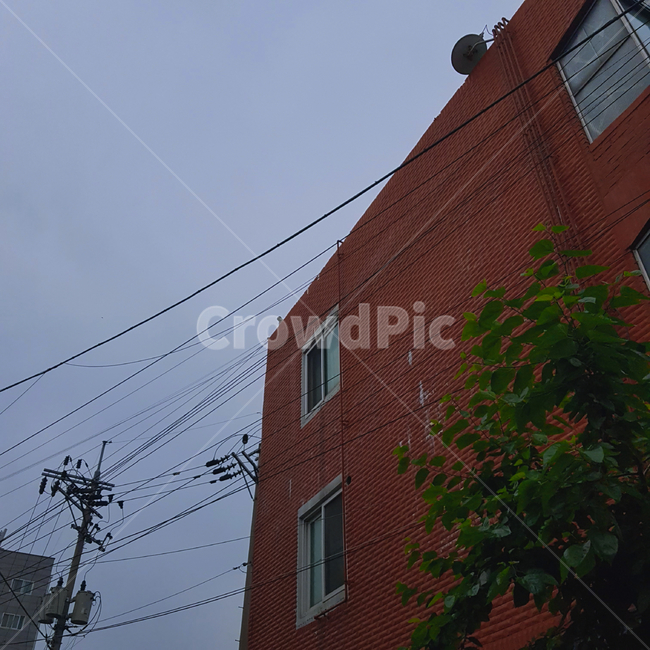 건물,building,structure,villa,빌라,plant,tree,나무,전깃줄,wire