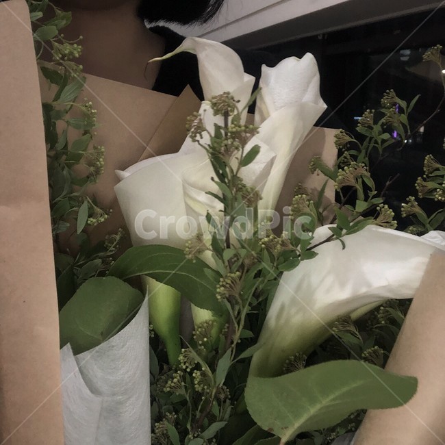 꽃든사람,꽃,카라,카라꽃다발,카라다섯송이,꽃다발,식물,자연,plants,nature,꽃,flower