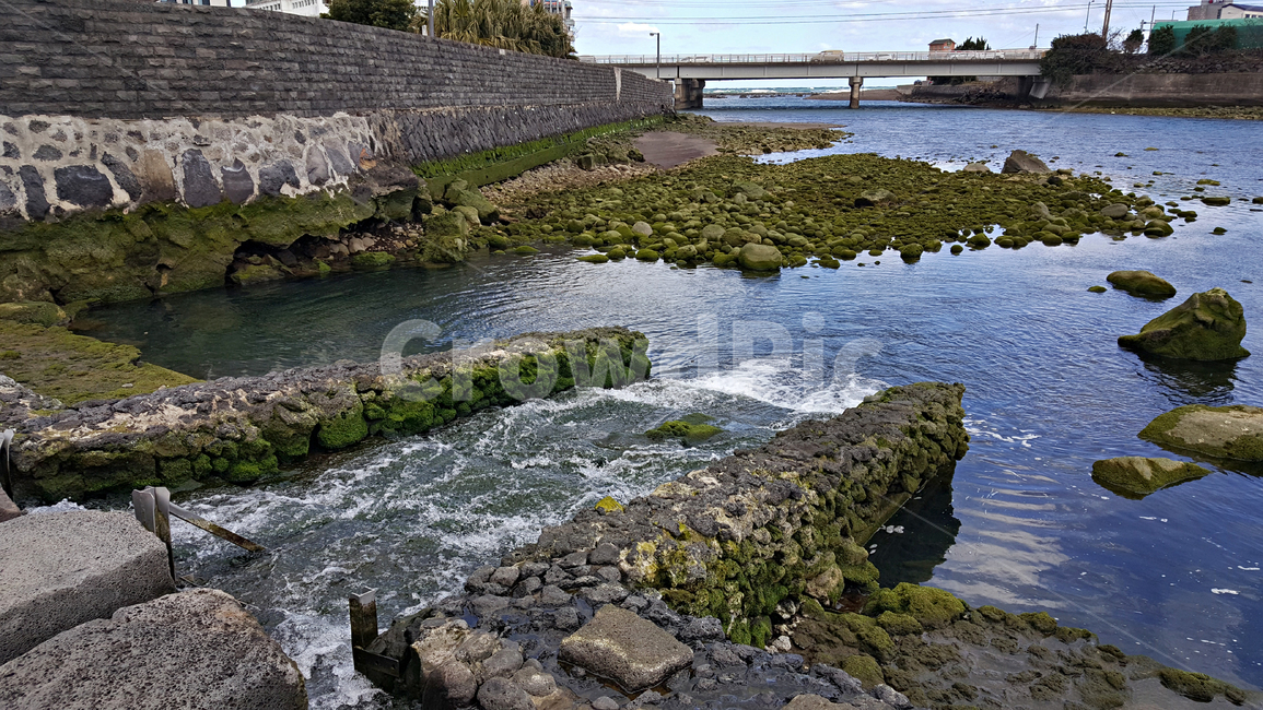 월대,자연,옥외,nature,outdoors,물,water