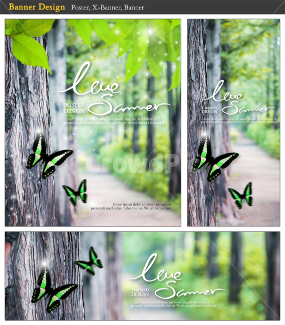 나무,가로수길,나비,나뭇잎,프레임,여름,여름,계절,summer,season,동물,animal,곤충,벌레,insect,bug,그래픽,일러스트레이션,graphic,illustration,collage,콜라주,poster,포스터,advertisement,광고