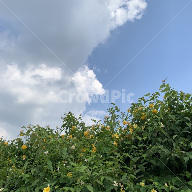 구름,날씨,하늘,sky,배경