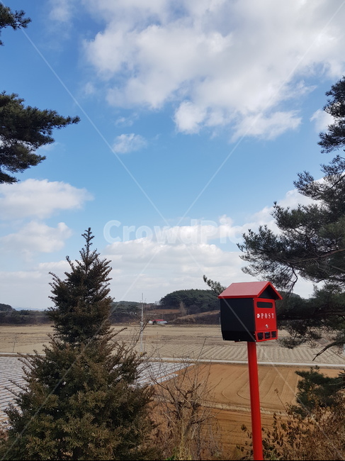 시골,시골풍경,하늘,자연,우체통,편지함,post,소나무,구름