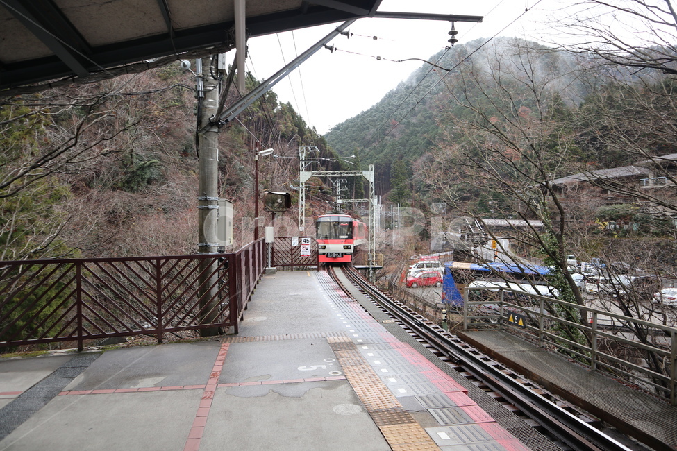 일본,자연,나무,산책,풍경,열차,교통,traintrack,rail,기찻길,레일,railway,transportation,철도,기차,train,차량,vehicle