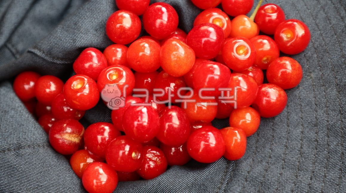 식물,plant,앵두,과일,물앵두