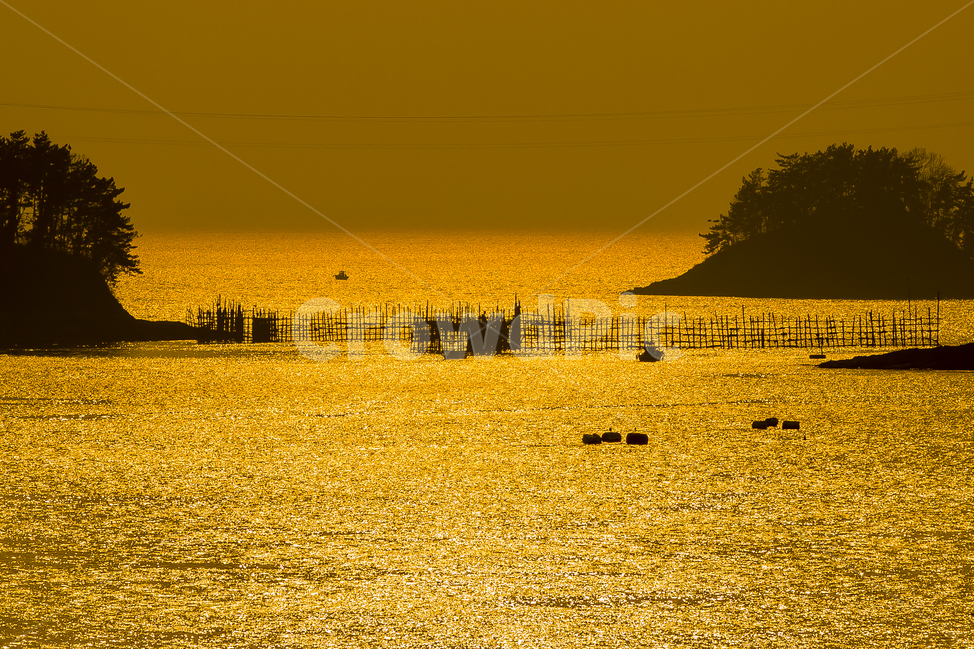 해안,배,바다,죽방염,낙조,자연,풍경,nature,landscape,한국자연풍경,한국자연경관,korea nature landscape,실루엣,그림자,silhouette,shadow,water,물,waterfront,워터 프론트